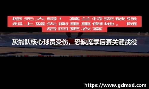 灰熊队核心球员受伤，恐缺席季后赛关键战役