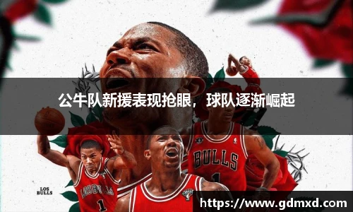 公牛队新援表现抢眼，球队逐渐崛起