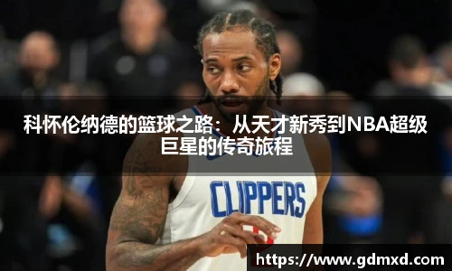 emc易倍