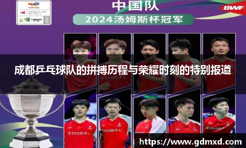 成都乒乓球队的拼搏历程与荣耀时刻的特别报道